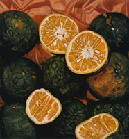 Mandarinas reinas, 2007, oil on canvas 59.1 x 54.5 in