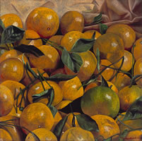 Mandarinas con fondo anaranjado, 2007, oil on canvas 31.5 x 31.5 inMandarinas con fondo anaranjado, 2007, oil on canvas 31.5 x 31.5 in