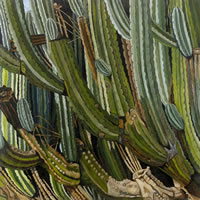 Órgano, 2009, oil on canvas 63.8 X 63.8 in