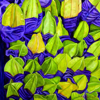 Carambolos, 2013, óleo/lino, 80 cm X 80 cm