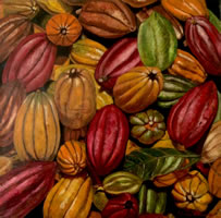 Limones, 2015, óleo/lino, 75 cm X 75 cm