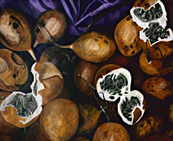 Granadas chinas abiertas, 2008, óleo/lino 120 x 150 cm