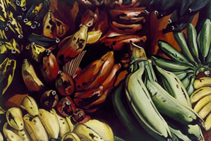 Platanos varios Polo, 2007, óleo/lino 97 x 145 cm