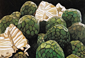 Chirimoyas, 2006, óleo/lino, 101 x 150 cm