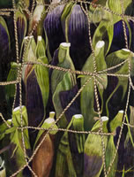 Arte popular mexicano, 2015, óleo/lino, 99 cm X 154 cm