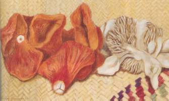 Hongos sobre petate, 1993, temple-óleo sobre tela 46.5 x 27.7 cms