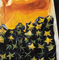 Carambolos, 2002, oil on canvas 27.6 x 27.6 in