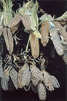 Mazorcas Verticales, 2003, oil on canvas 66.9 x 44.1 in