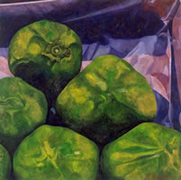 Zapotes prietos, 2004, oil on canvas 35.4 x 35.4 in