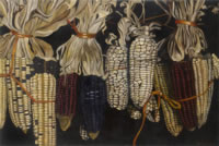 Mazorcas viejas, 2004, óleo/lino 118 x 177 cm