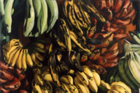 Plátanos varios, 2004, óleo/lino 97 x 145 cm