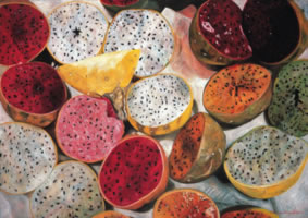 Pitayas de Cuautla, 2005, óleo/lino 85 x 120 cm