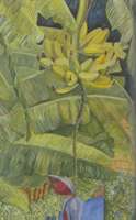 Plátanos maduros, temple óleo/tela 100 x 73 cms