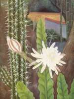 Nopalillo en flor, 1993, temple óleo sobre tela 61 x 46 cms