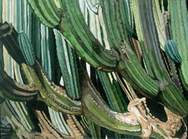 Candelabro Oaxaqueño I, 2001, óleo sobre lino 114 x 154 cms