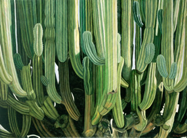 Candelabro Oaxaqueño II, 2001, oil on canvas 44.9 x 60.6 in