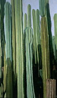 Candelabro Oaxaqueño Vertical, 2001, oil on canvas 44.9 x 76.4 in