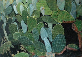 Nopales viejos II, 2001, oil on canvas, 44.1 x 63.8 in