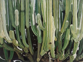 Candelabro Oaxaqueño, 2003, oil on canvas 59 in x 79.5 in