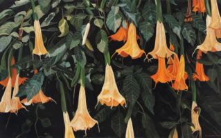 Daturas con follaje, 2005, oil on canvas, 42.9 x 68.9 in
