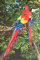 Díptico, Agaves, 2013, óleo/lino, 90 cm X 135 cm