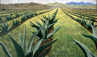 Magueyes con cielo nublado II, 1999 oil on canvas 59.1 x 97.6 in