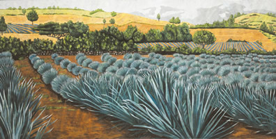 Agaves azules, 2002, oil on canvas 33.9 x 67.7 in