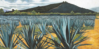 Agaves tequileros, 2002, óleo sobre lino 86 x 172 cms