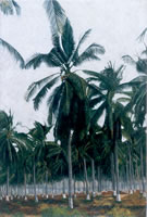 Palmar del Pacífico I, 2003, oleo sobre lino, 122 x 180 cm