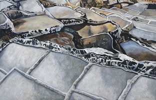 Salinas peruanas, 2010, óleo/lino, 125 cm X 195 cm