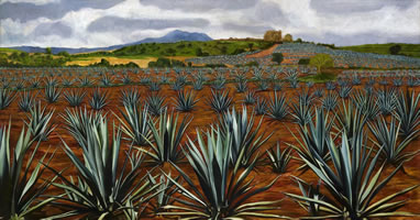 Agaves de tequila grandes, 2014, óleo/lino, 150 cm X 300 cm