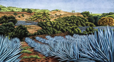 Agaves, 2014