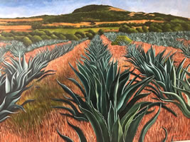 Magueyes de mediodía, 2019