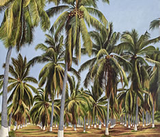 Palmeras con viento, 2019