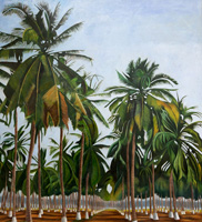 Palmar del Pacífico, 2022